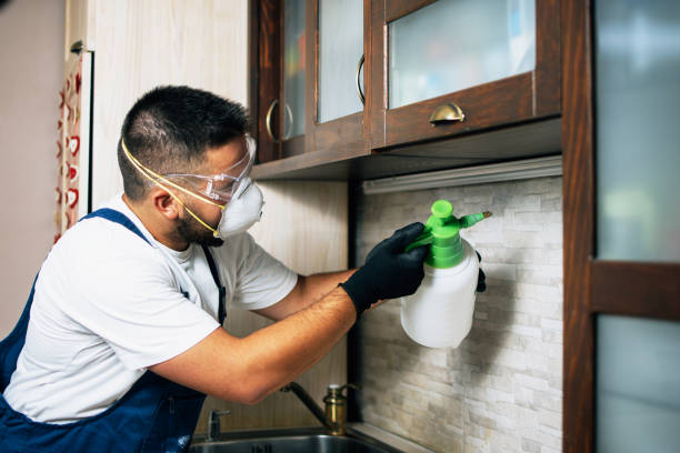 Best Flea Control Services  in Red Hill, PA
