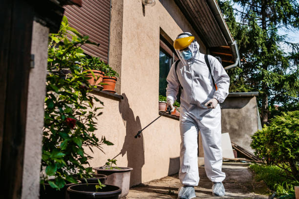 Best Insect Control  in Red Hill, PA