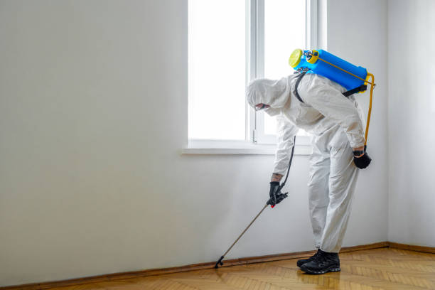 Best Pest Control Near Me in Red Hill, PA
