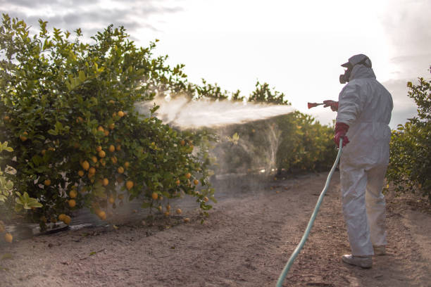 Best Local Pest Control Services  in Red Hill, PA