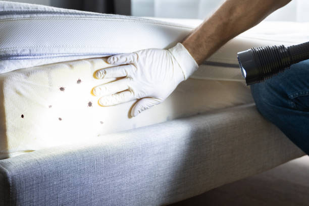 Best Pest Removal Services  in Red Hill, PA