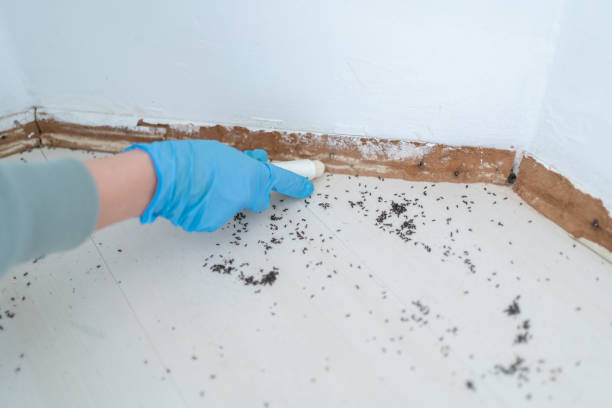 Best Pest Inspection Near Me  in Red Hill, PA