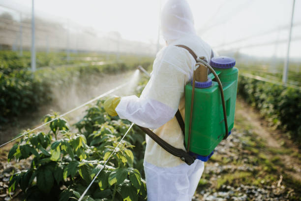 Reliable Red Hill, PA Pest Control Solutions